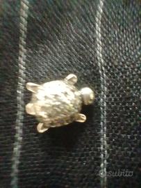 Sharm tartaruga pandora