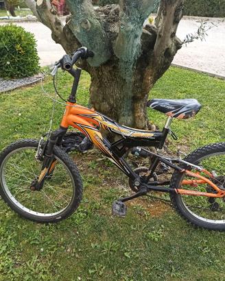 bicicletta bambino 