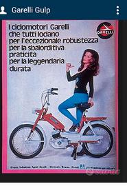 Garelli Gulp