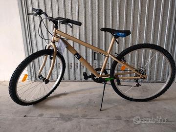 bicicletta da passeggio 