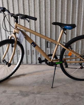 bicicletta da passeggio 
