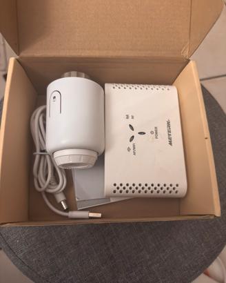 Termostato smart