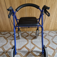 Deambulatore termigea