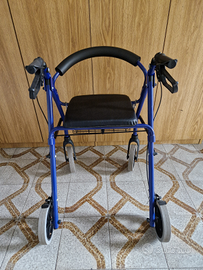 Deambulatore termigea