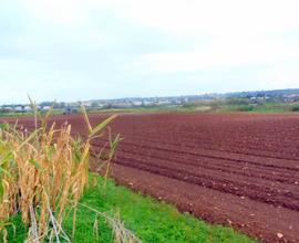 Marina di Ragusa - C.da Maulli - Terreno Agricolo