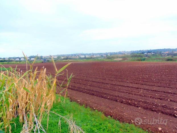 Marina di Ragusa - C.da Maulli - Terreno Agricolo