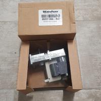 Motoriduttore Extraflame 002271060