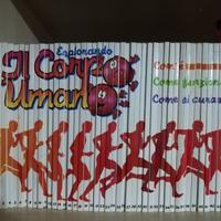 collana libri "Esplorando il corpo umano" 