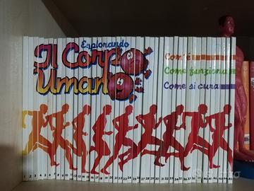 collana libri "Esplorando il corpo umano" 