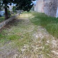 Terreno Edificabile