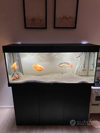 Acquario juwel 240 l