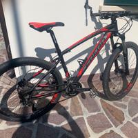 Bici mtb