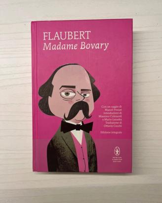 Madame bouvary copertina rigida 