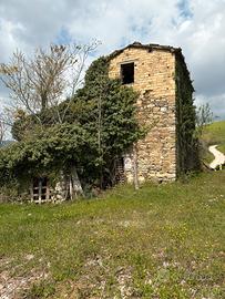 Casa di campagna con terreno