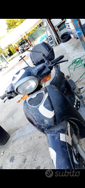 Scarabeo 4t