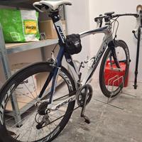 RIDLEY NOAH perfetta