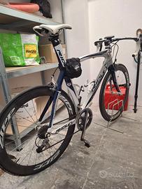 RIDLEY NOAH perfetta