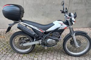 BETA ALP 200