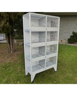batteria allevamento uccelli