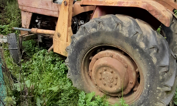 Trattore MASSEY FERGUSON MF 155