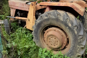 Trattore MASSEY FERGUSON MF 155