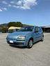 fiat-punto-1-2