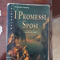 I Promessi sposi di Alessandro Manzoni