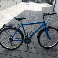 Bicicletta mountain bike