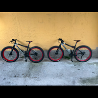 N.2 FAT BIKE UNA DA UOMO L'ALTRA DA DONNA