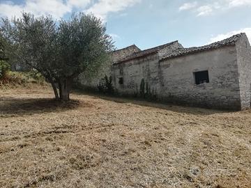 Terreno e rustici
