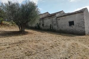 Terreno e rustici