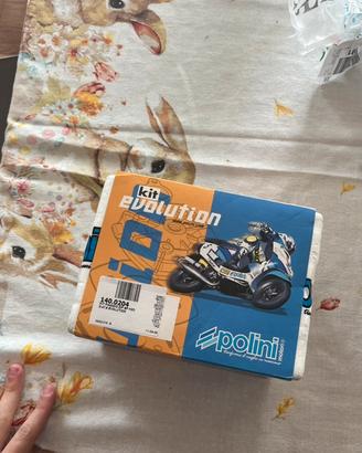 Polini evo 2 70cc Piaggio