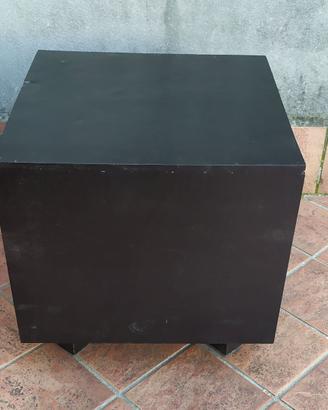 Subwoofer Attivo 100W