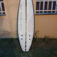 tavola da surf/sup