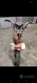 Motoretta Solex