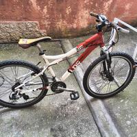 Bici MTB TAGLIA L