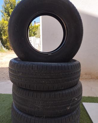 Gomme estive 