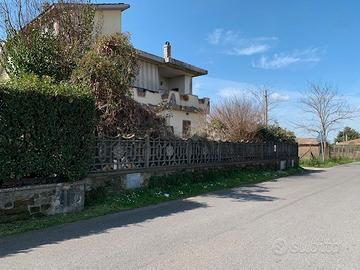 Palestrina semi indipendente