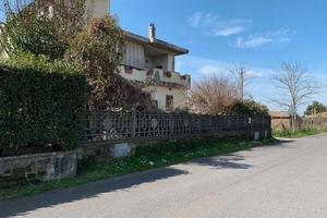 Palestrina semi indipendente