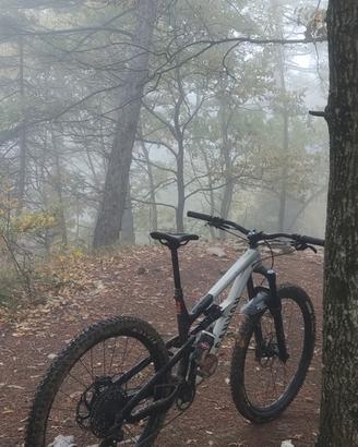 MTB - Canyon spectral 29 Al6