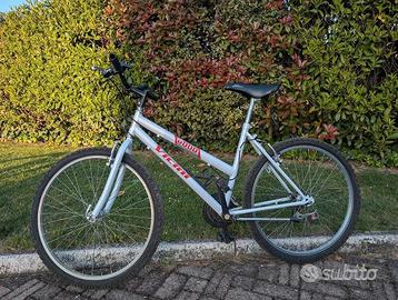 Mountain Bike Vicini 6000