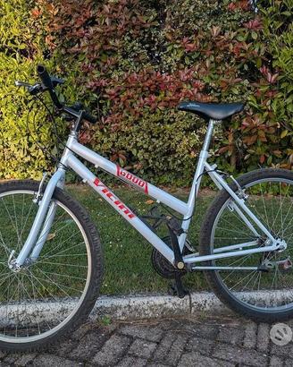 Mountain Bike Vicini 6000