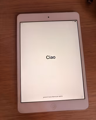 iPad mini 2 16GB