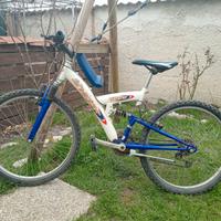 Bicicletta Mountain-bike