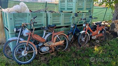 motorini 