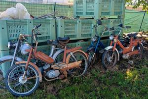 motorini 