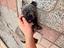Immagine 3