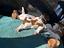 Immagine 6