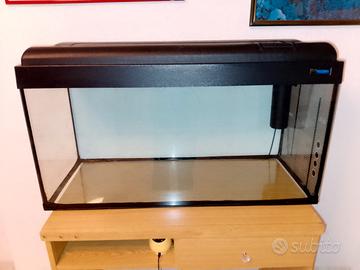 acquario 