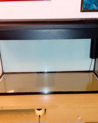 acquario 